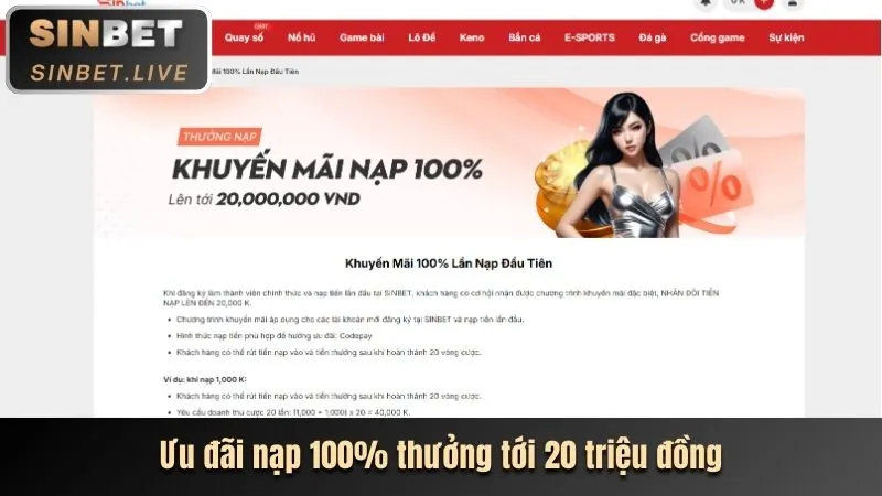 Hoàn trả cược hàng tuần